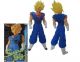 Dragonball