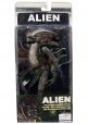 Alien vs Predator