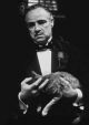 The godfather